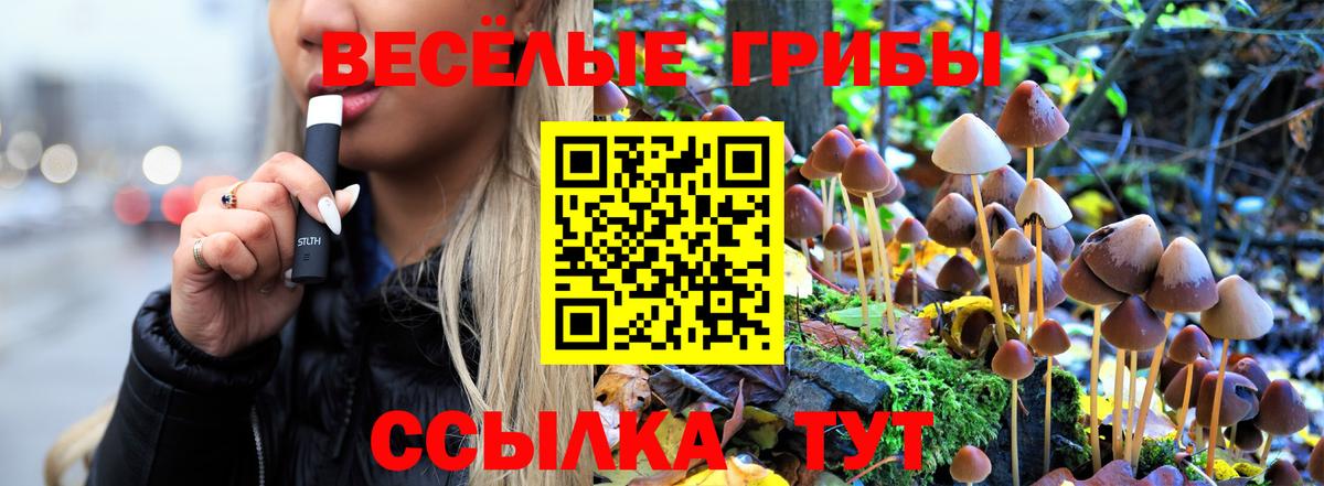 Псилоцибиновые грибы прущие грибы  Вход с VPN  магазин продажи наркотиков  Кизилюрт 