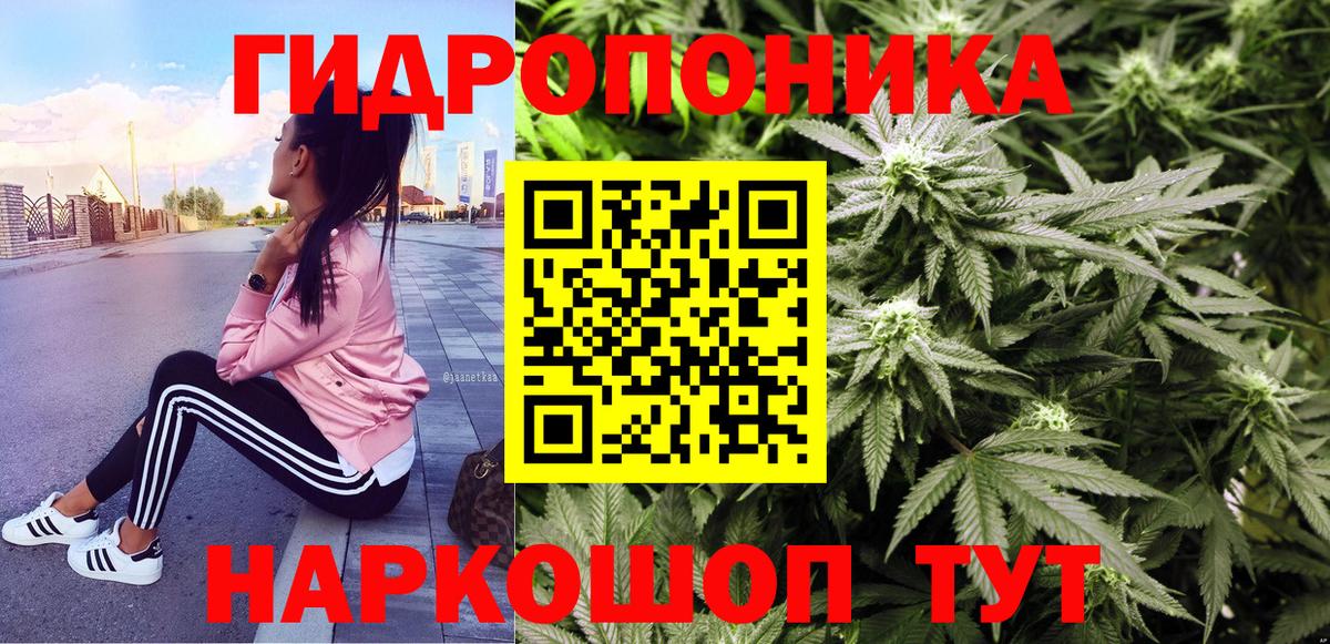 Бошки Шишки план  Бошки Шишки планчик  Кизилюрт  Вход с VPN  МАРИХУАНА семена 